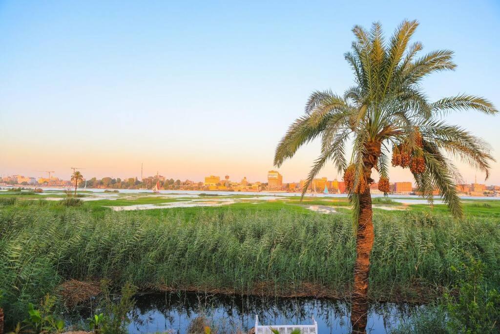 Royal Nile Villa - Nile View Apartment 1 Luxor Ngoại thất bức ảnh