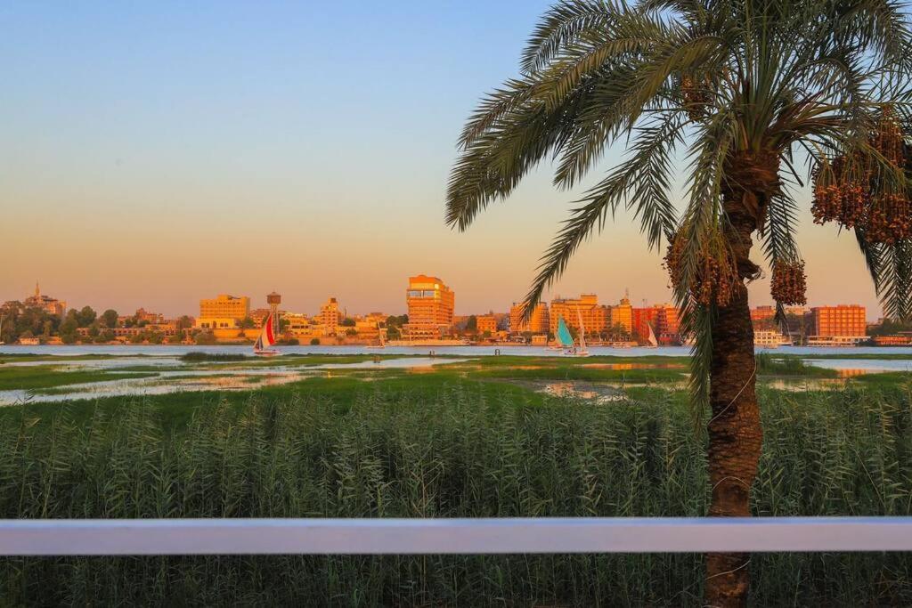 Royal Nile Villa - Nile View Apartment 1 Luxor Ngoại thất bức ảnh