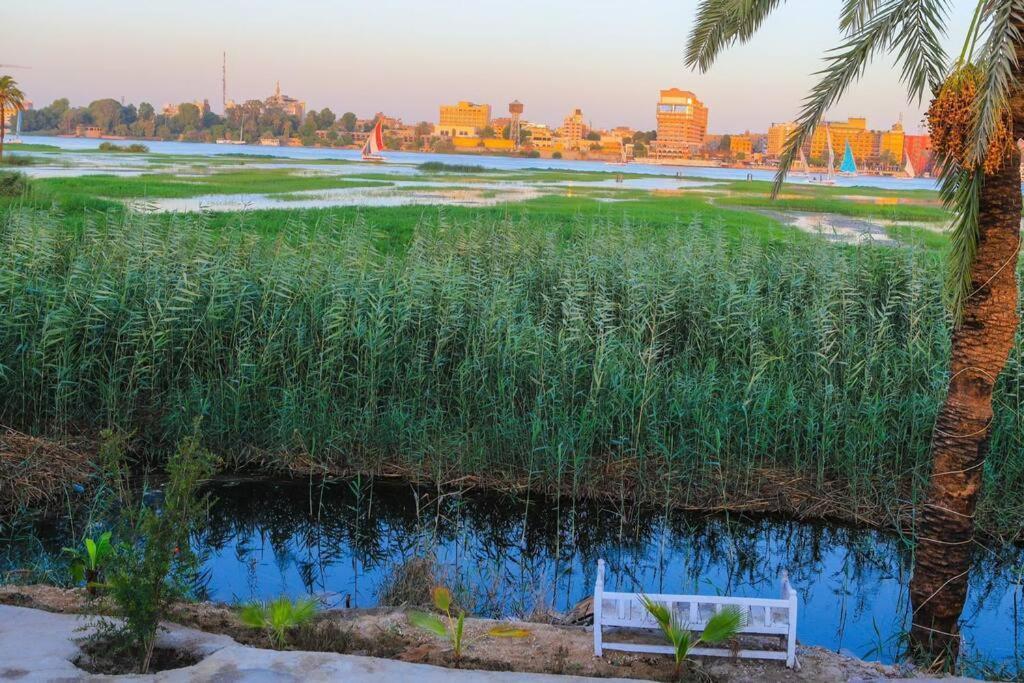Royal Nile Villa - Nile View Apartment 1 Luxor Ngoại thất bức ảnh